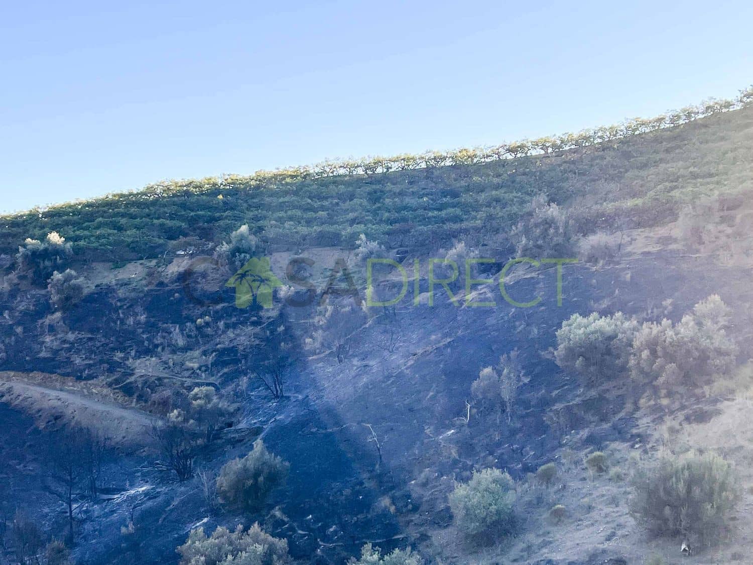 Rakentamaton maa myytävänä paikassa Frigiliana - 85 000 € (Ref: 7254045)