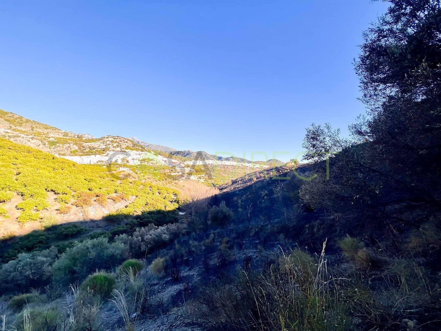 Rakentamaton maa myytävänä paikassa Frigiliana - 85 000 € (Ref: 7254045)