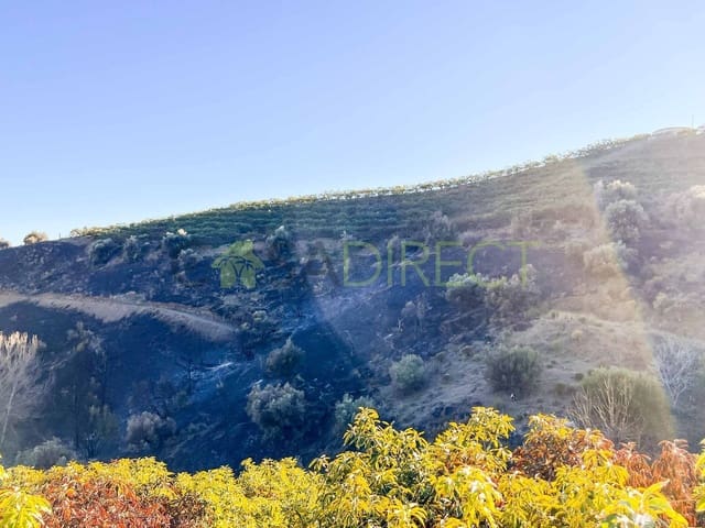 Rakentamaton maa myytävänä paikassa Frigiliana - 85 000 € (Ref: 7254045)