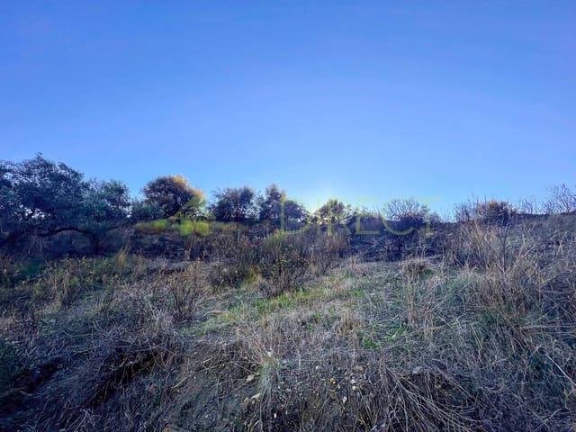 Rakentamaton maa myytävänä paikassa Frigiliana - 85 000 € (Ref: 7254045)