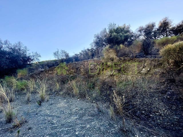 Rakentamaton maa myytävänä paikassa Frigiliana - 85 000 € (Ref: 7254045)