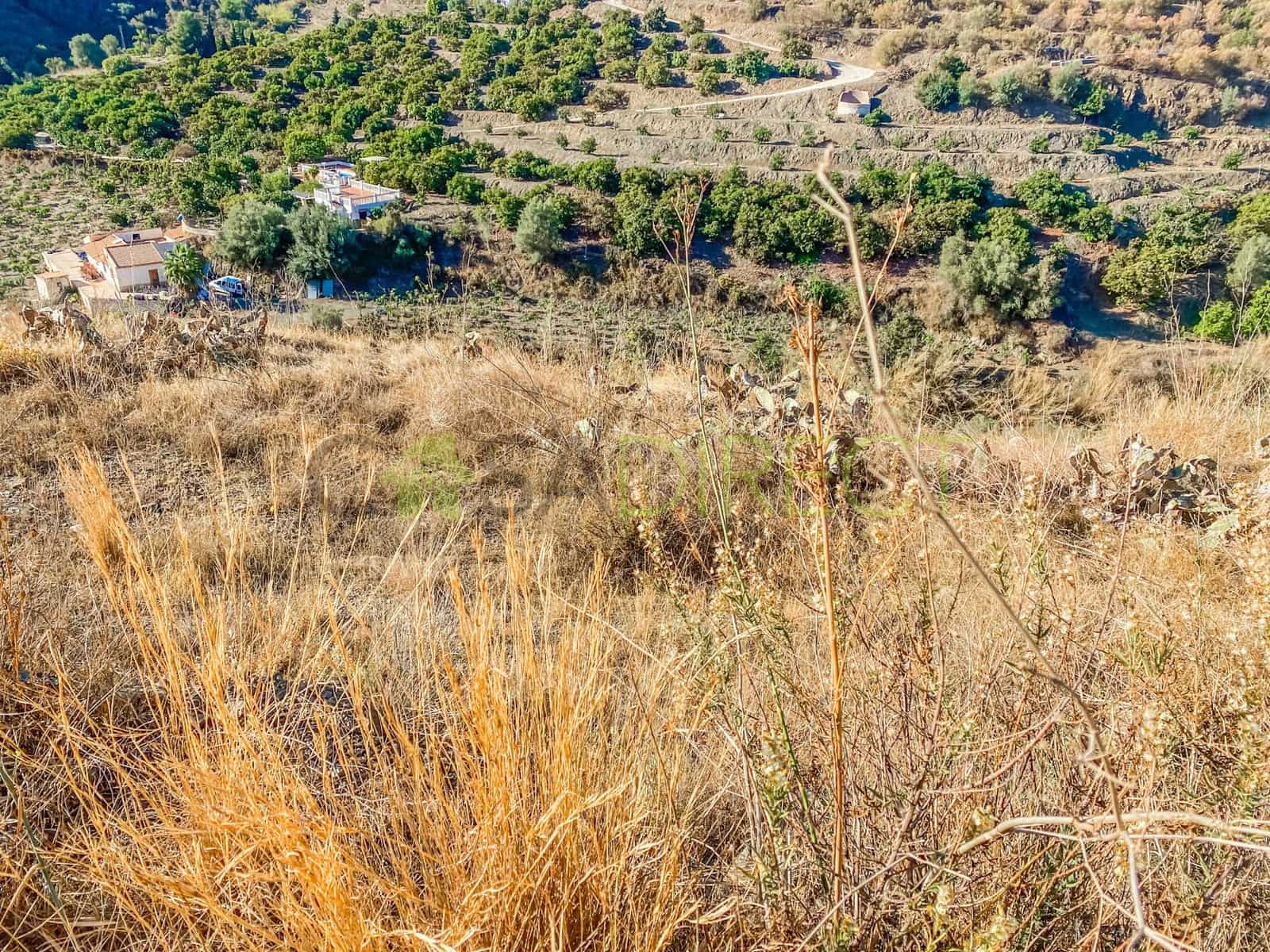 Grunde uden byggetilladelser til salg i Frigiliana - € 80.500 (Ref: 7254059)