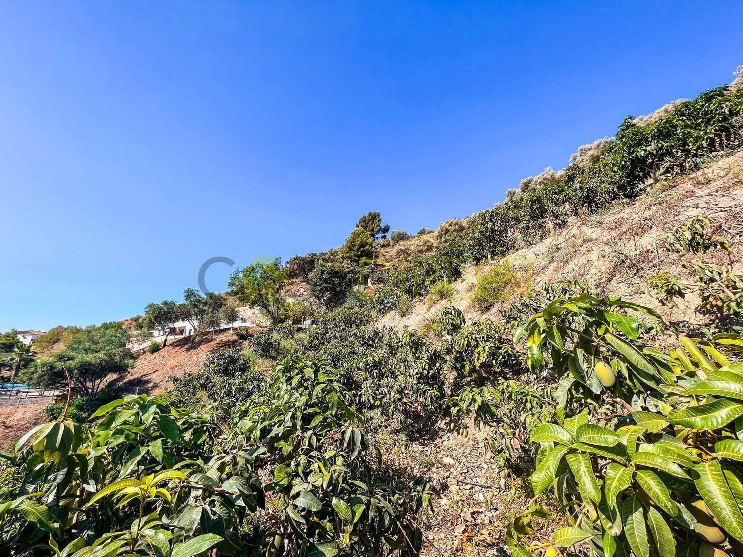 Terreno Non Edificato in vendita in Torrox - 199.950 € (Rif: 7254098)