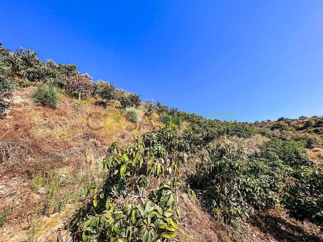 Terreno Non Edificato in vendita in Torrox - 199.950 € (Rif: 7254098)