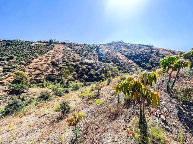 Undeveloped Land for sale in Torrox - € 135,000 (Ref: 7254115)