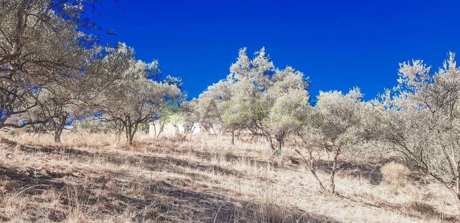 1 slaapkamer Finca/Landhuis te koop in Frigiliana met garage - € 168.500 (Ref: 7257986)