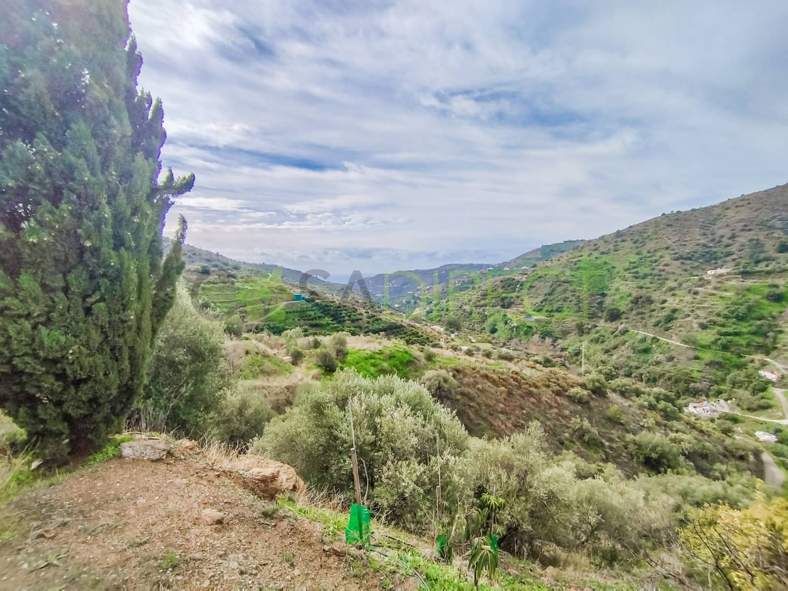 Undeveloped Land for sale in Torrox - € 74,000 (Ref: 7410366)