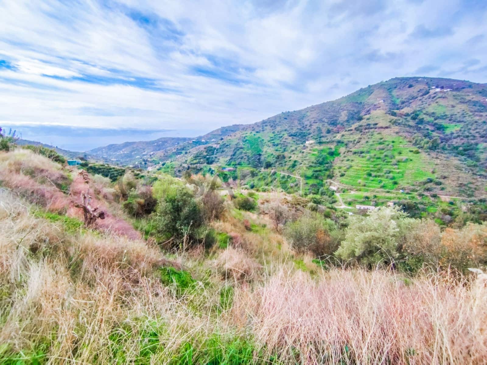 Undeveloped Land for sale in Torrox - € 74,000 (Ref: 7410366)