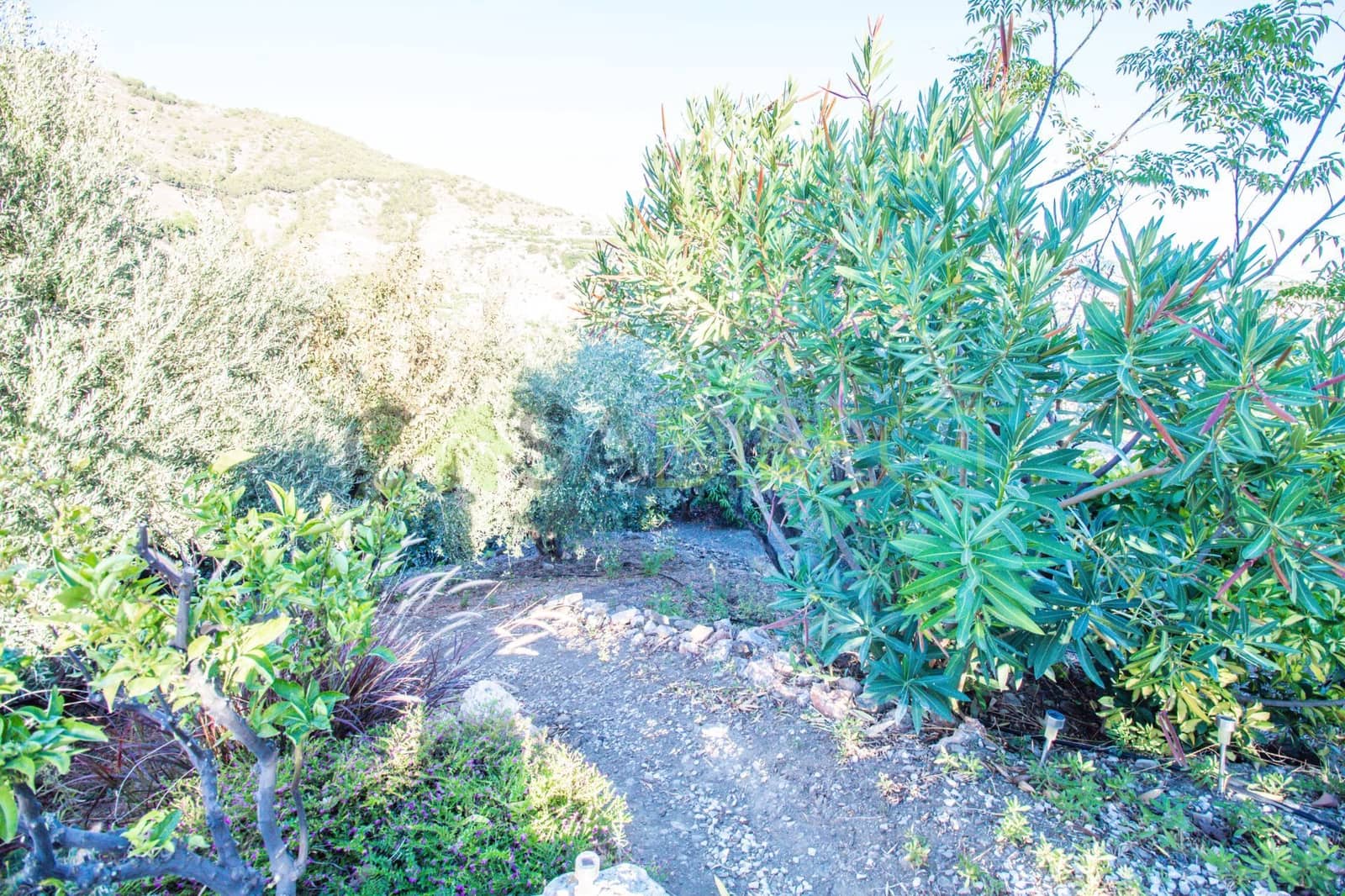 3 soveværelse Villa til leje i Frigiliana med swimmingpool garage - € 1.200 (Ref: 7472449)