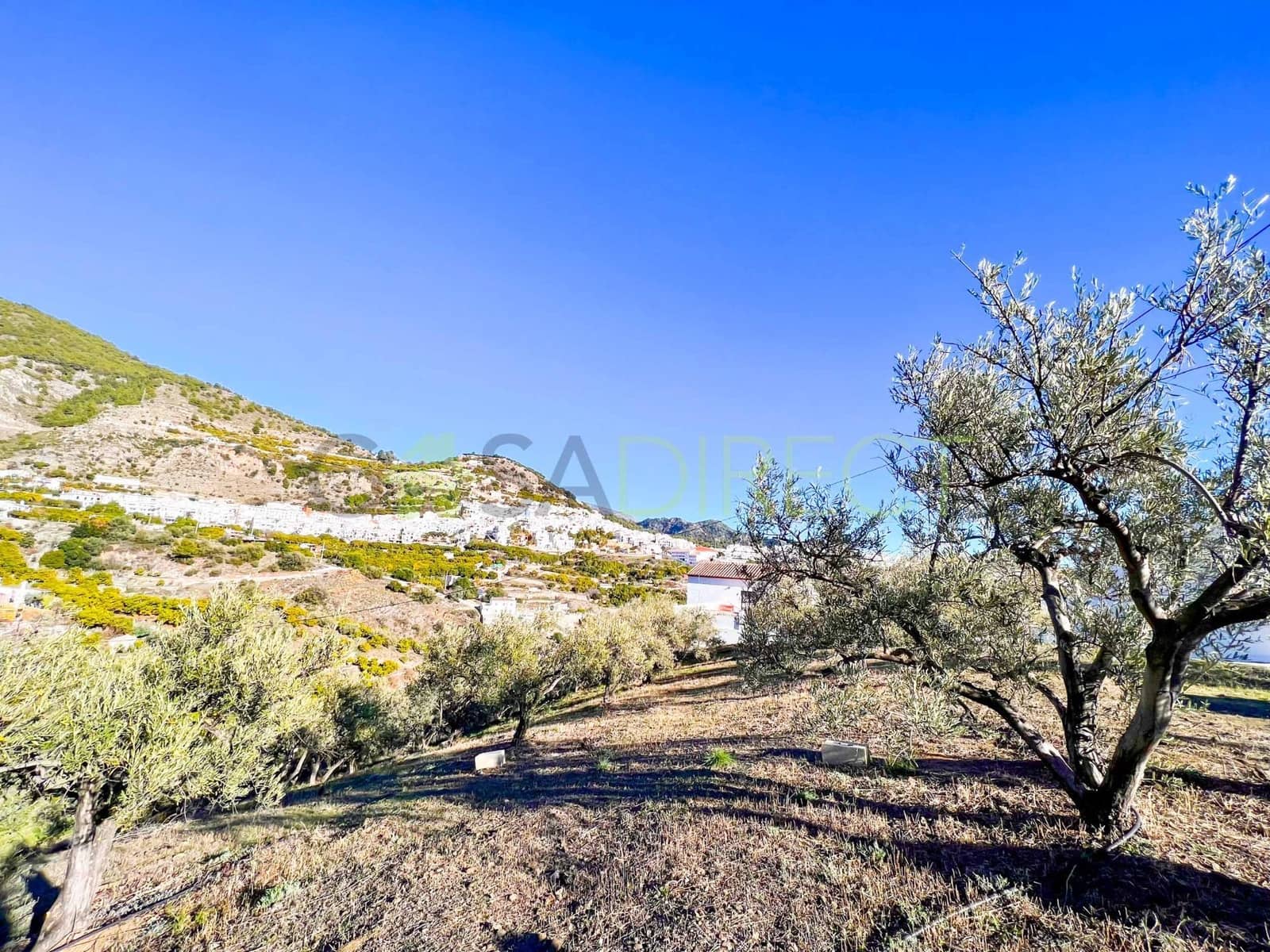 Finca/Landgut zu verkaufen in Frigiliana - 30.000 € (Ref: 7476760)