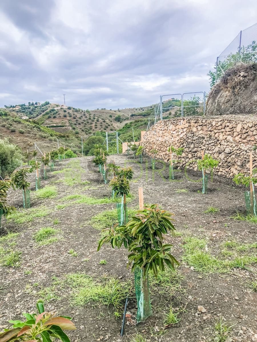 Finca/Maison de Campagne à vendre à Frigiliana - 37 000 € (Ref: 7623706)