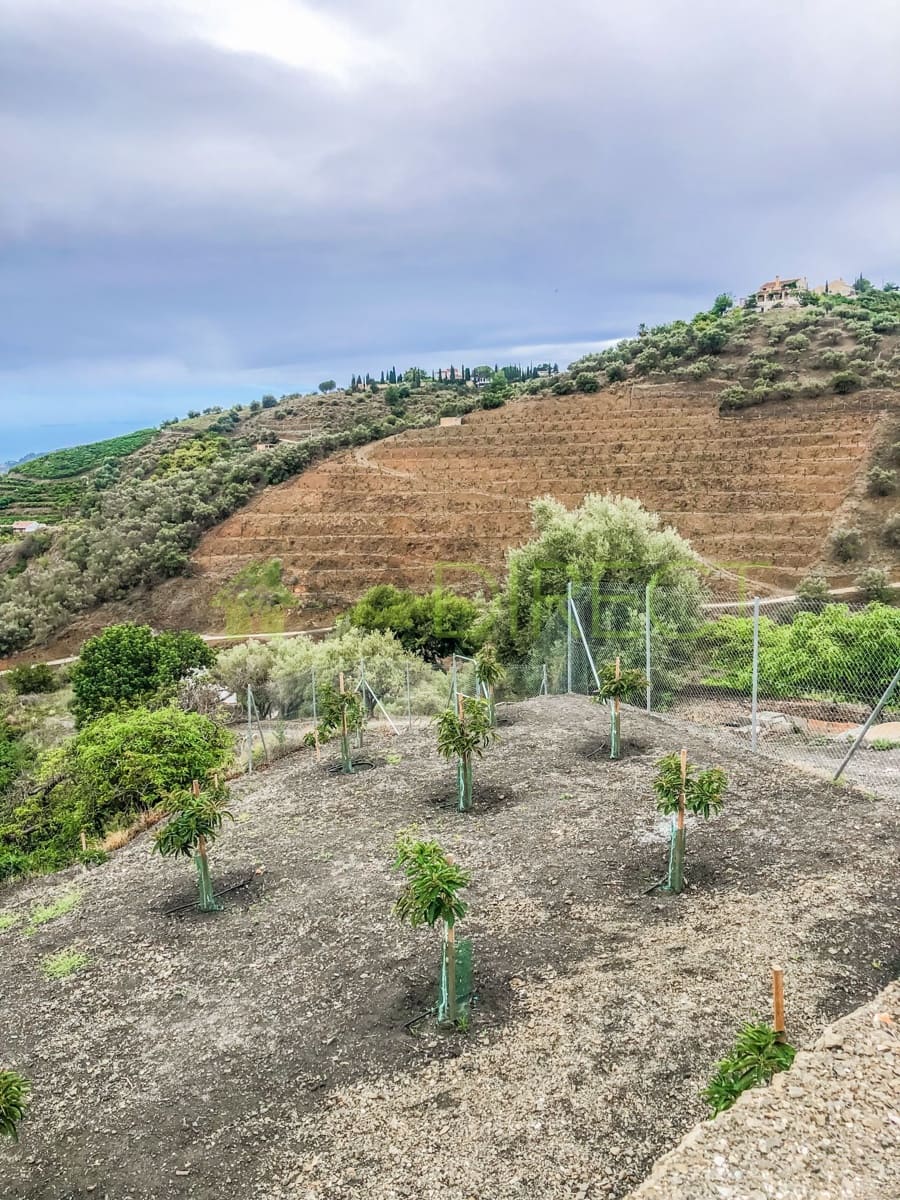 Finca/Maison de Campagne à vendre à Frigiliana - 37 000 € (Ref: 7623706)