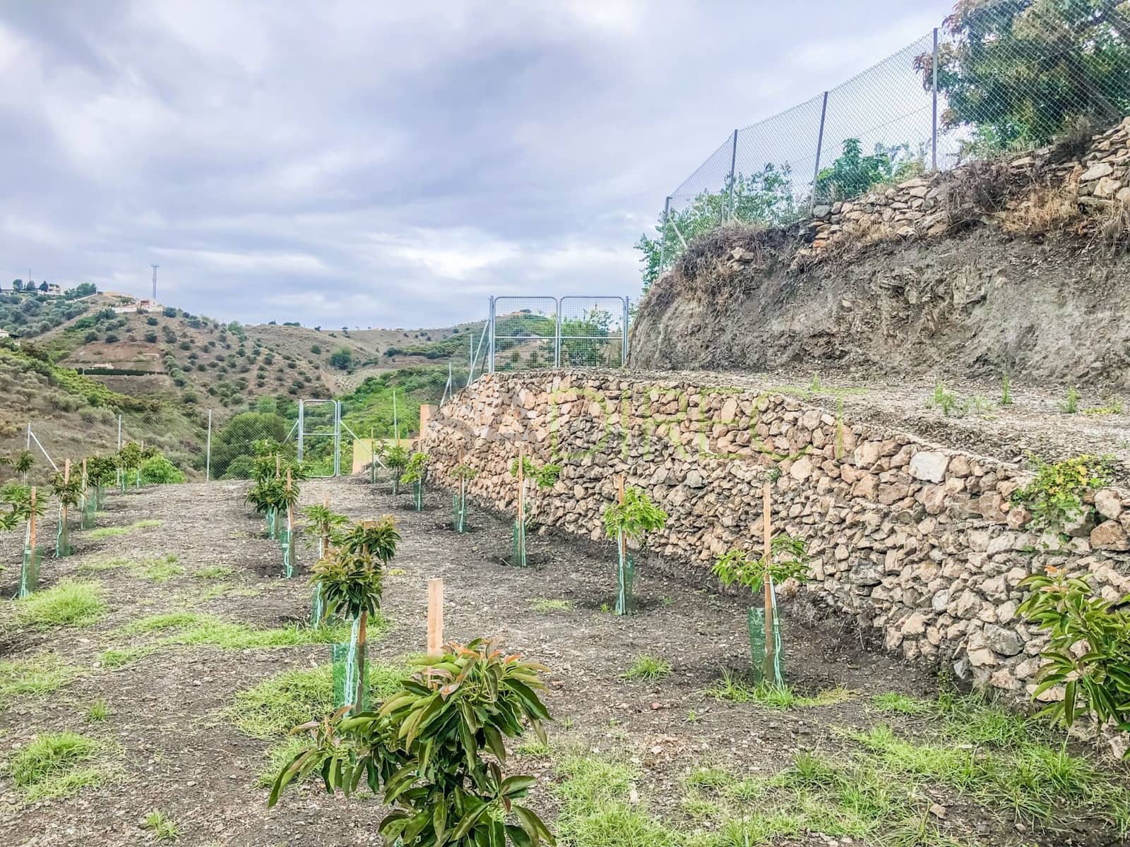 Finca/Maison de Campagne à vendre à Frigiliana - 37 000 € (Ref: 7623706)