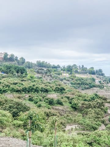 Finca/Maison de Campagne à vendre à Frigiliana - 37 000 € (Ref: 7623706)