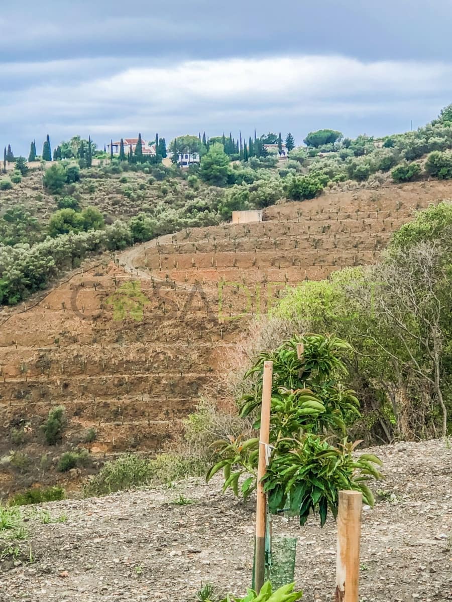 Finca/Maison de Campagne à vendre à Frigiliana - 37 000 € (Ref: 7623706)