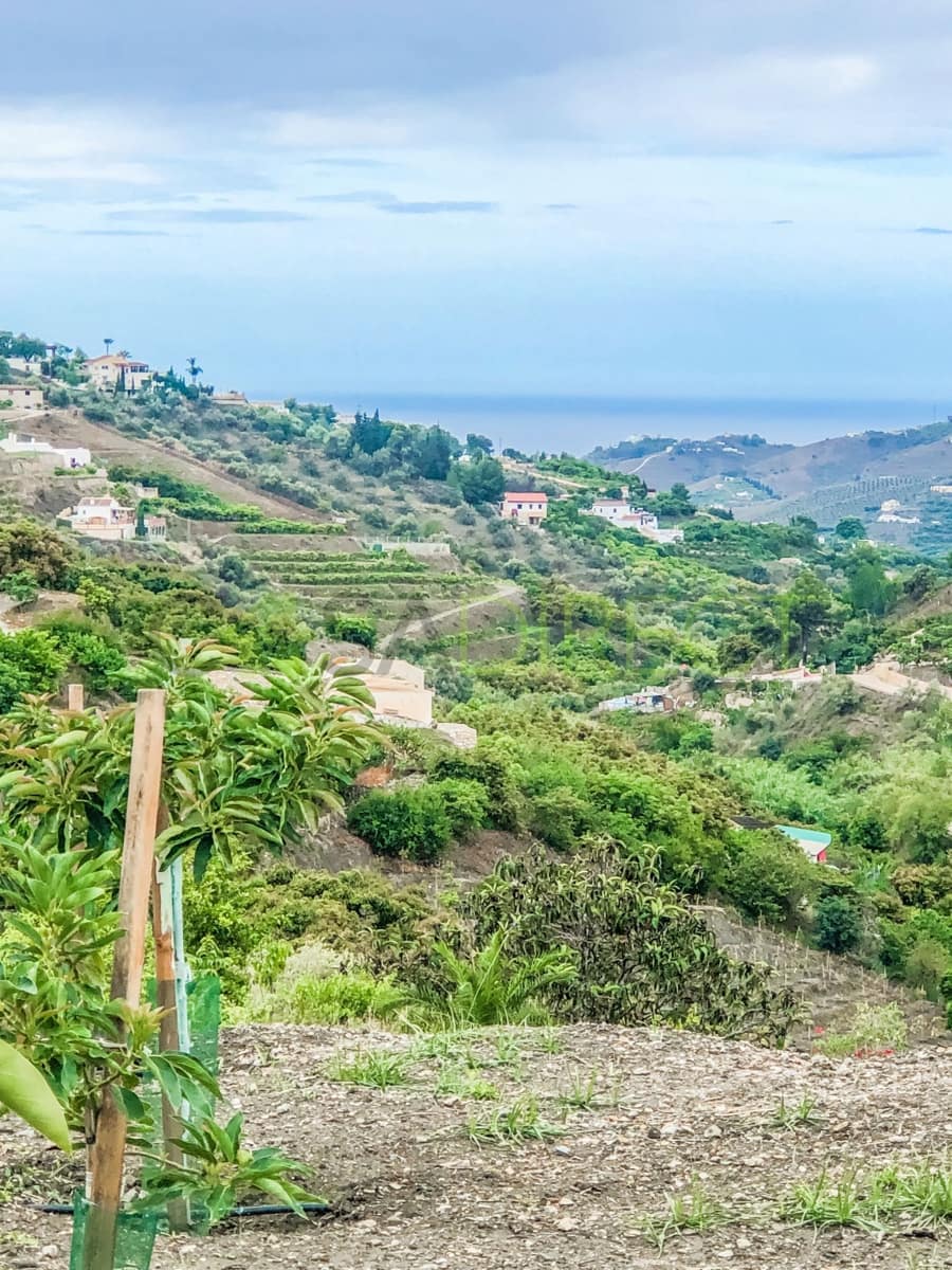 Finca/Maison de Campagne à vendre à Frigiliana - 37 000 € (Ref: 7623706)