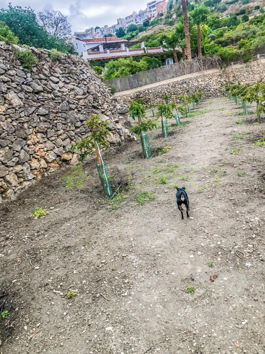 Finca/Maison de Campagne à vendre à Frigiliana - 37 000 € (Ref: 7623706)