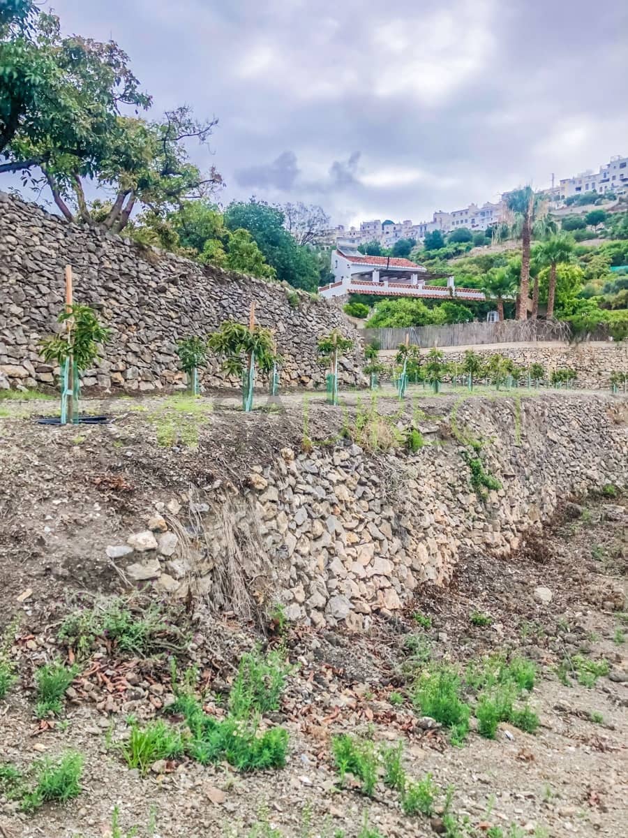 Finca/Maison de Campagne à vendre à Frigiliana - 37 000 € (Ref: 7623706)