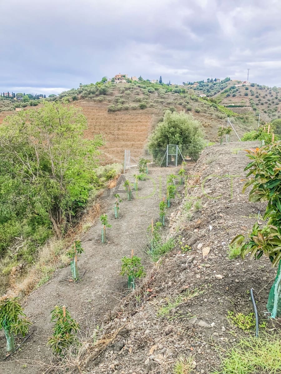 Finca/Maison de Campagne à vendre à Frigiliana - 37 000 € (Ref: 7623706)