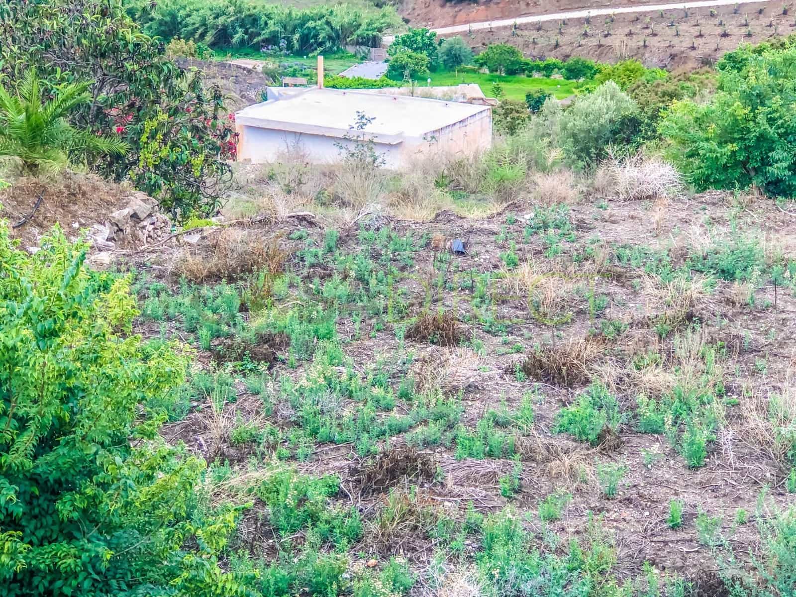 Finca/Maison de Campagne à vendre à Frigiliana - 37 000 € (Ref: 7623706)