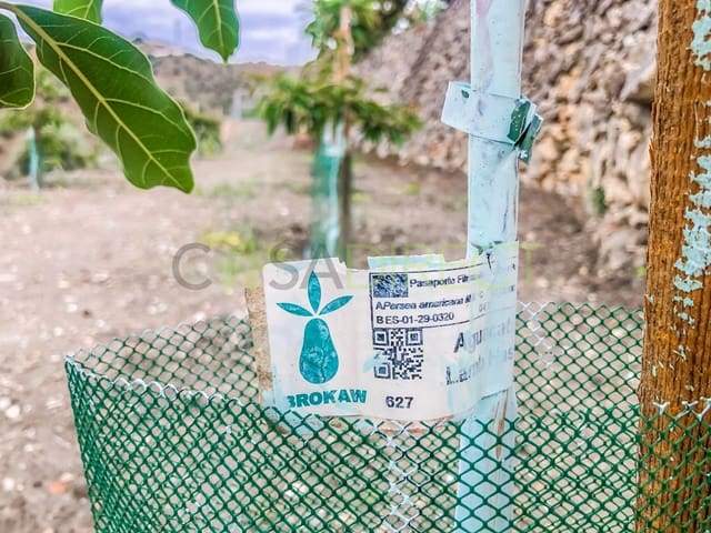 Finca/Maison de Campagne à vendre à Frigiliana - 37 000 € (Ref: 7623706)