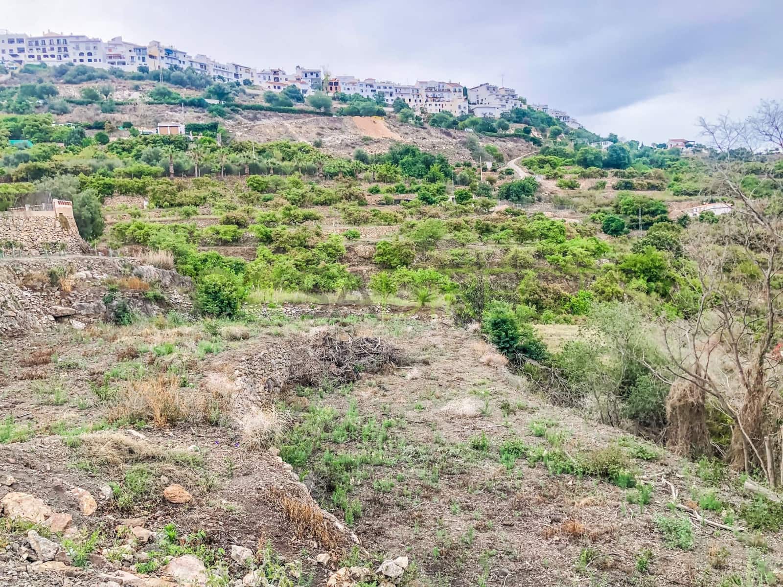 Finca/Maison de Campagne à vendre à Frigiliana - 37 000 € (Ref: 7623706)