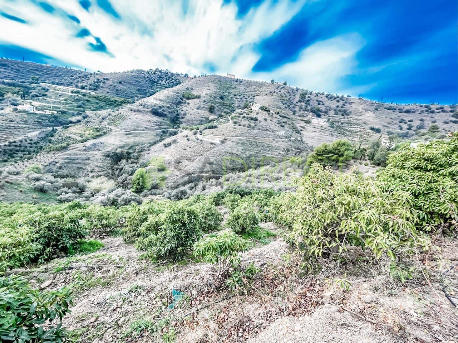 Terreno Non Edificato in vendita in Torrox - 262.500 € (Rif: 7963953)