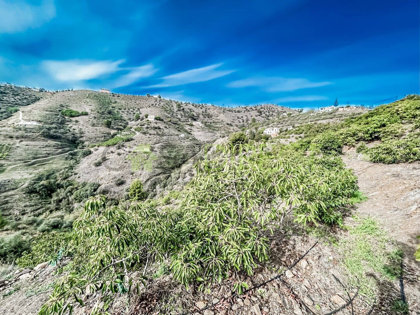 Terreno Non Edificato in vendita in Torrox - 262.500 € (Rif: 7963953)