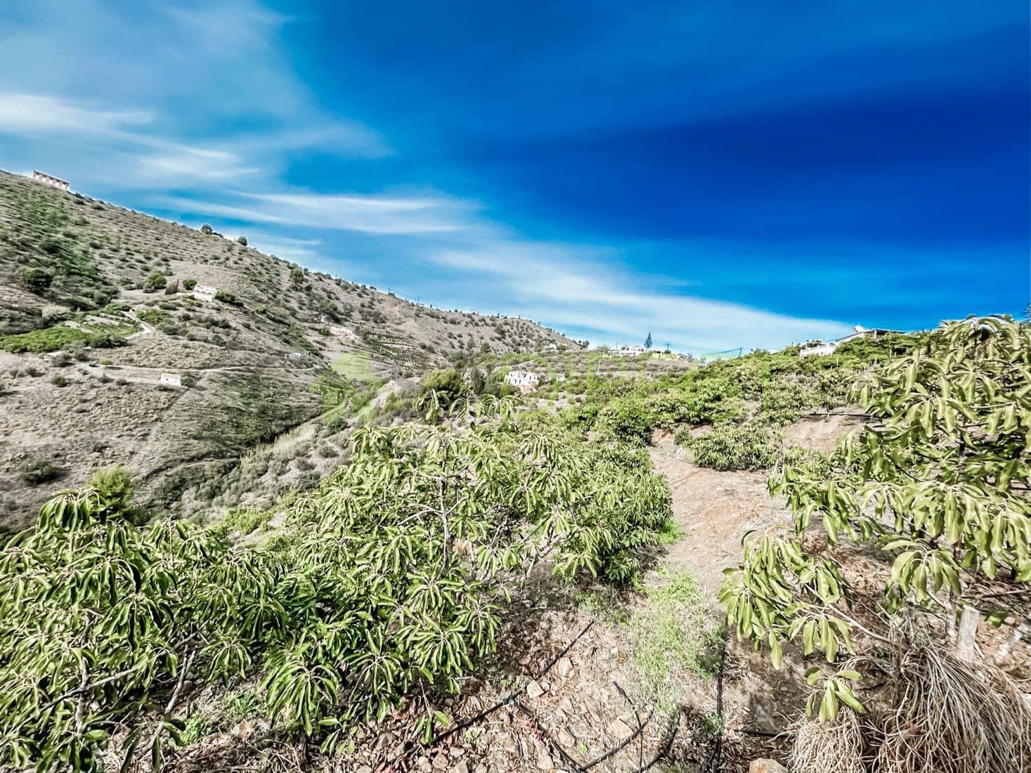 Terreno Non Edificato in vendita in Torrox - 262.500 € (Rif: 7963953)