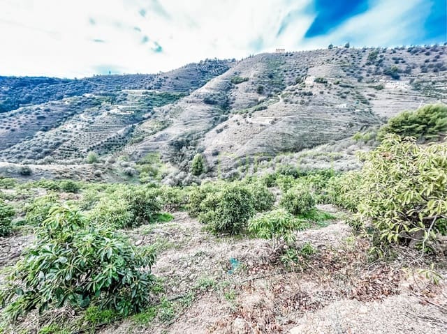 Rakentamaton maa myytävänä paikassa Torrox - 262 500 € (Ref: 7963953)