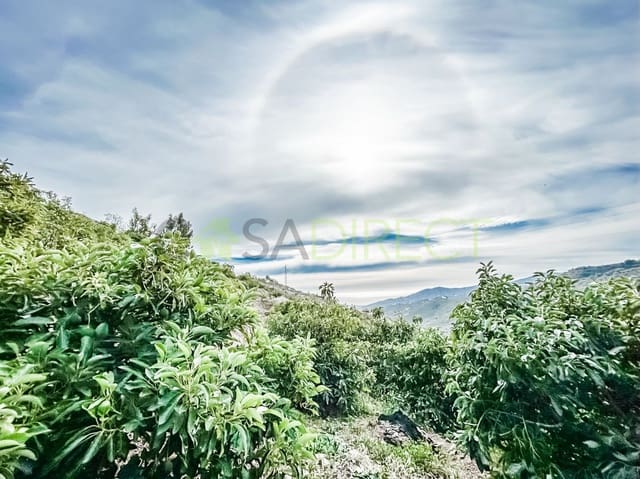 Rakentamaton maa myytävänä paikassa Torrox - 262 500 € (Ref: 7963953)