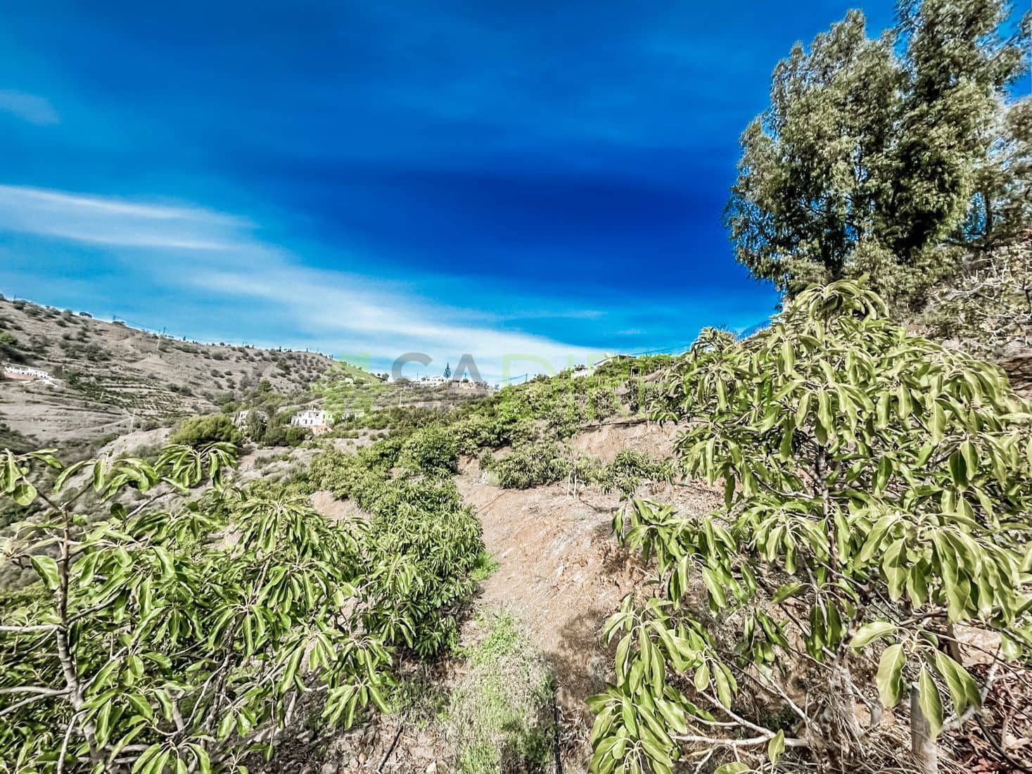 Terreno Non Edificato in vendita in Torrox - 262.500 € (Rif: 7963953)