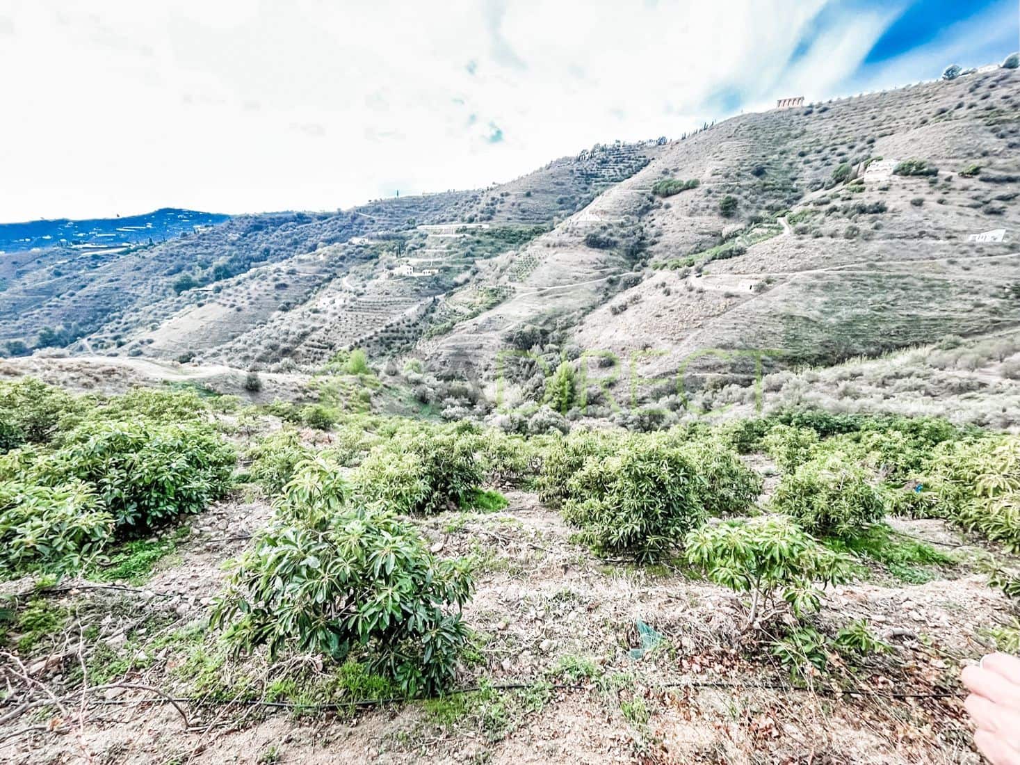 Terreno Non Edificato in vendita in Torrox - 262.500 € (Rif: 7963953)