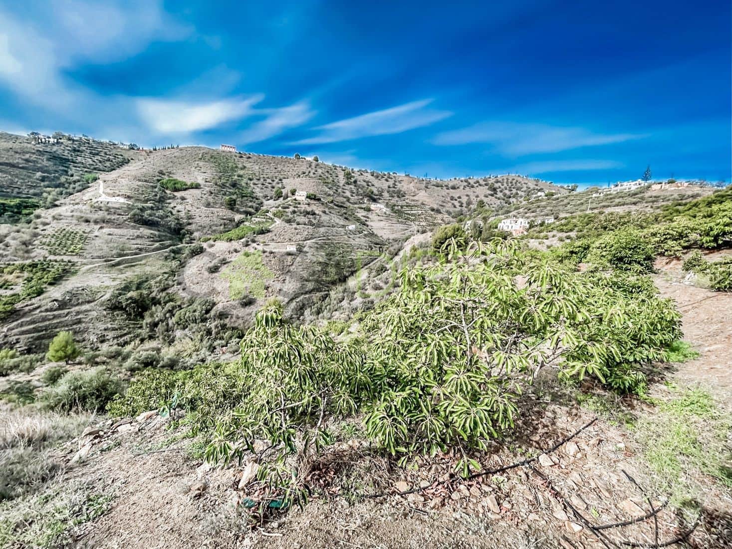 Terreno Non Edificato in vendita in Torrox - 262.500 € (Rif: 7963953)