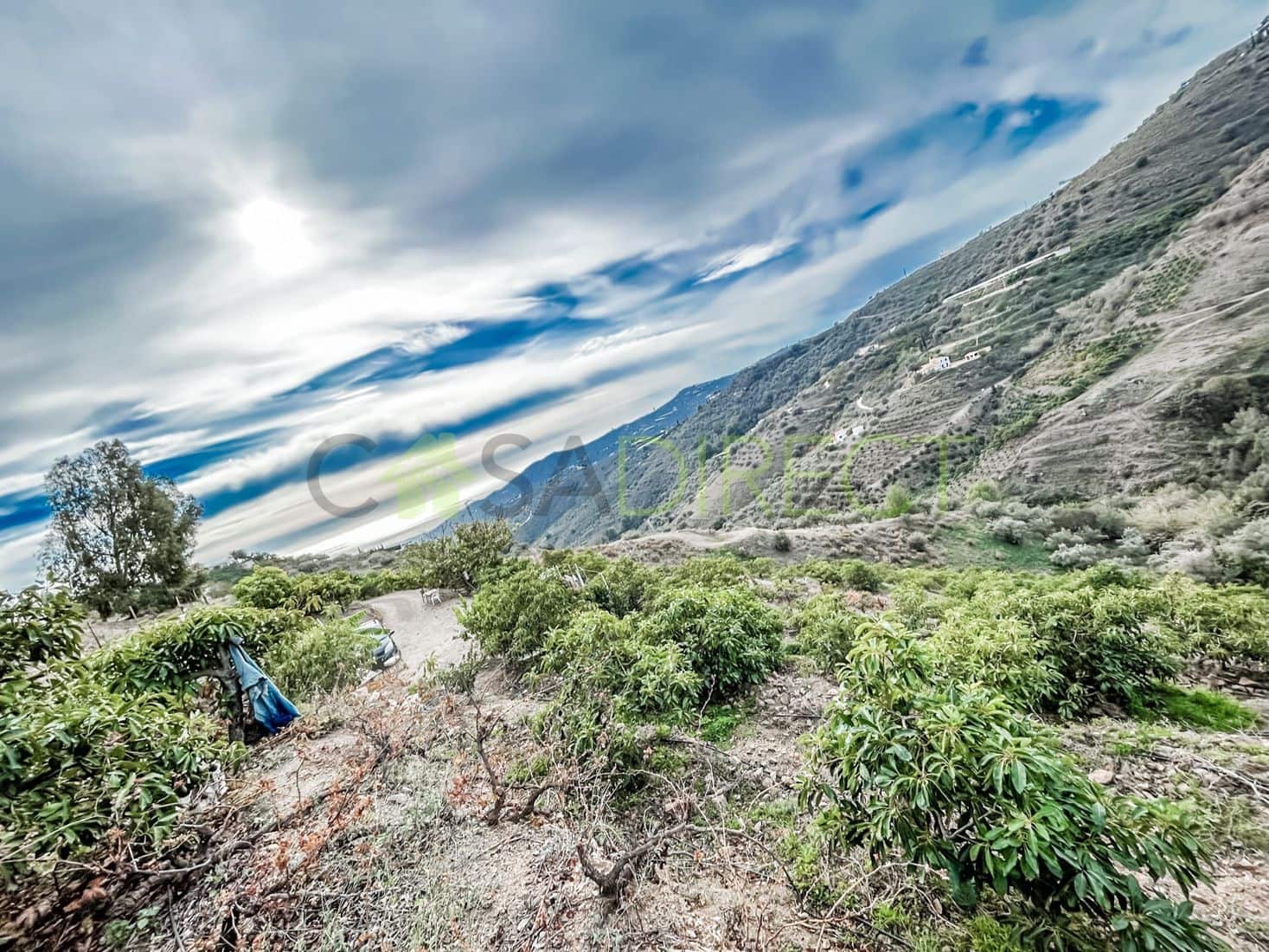 Terreno Non Edificato in vendita in Torrox - 262.500 € (Rif: 7963953)