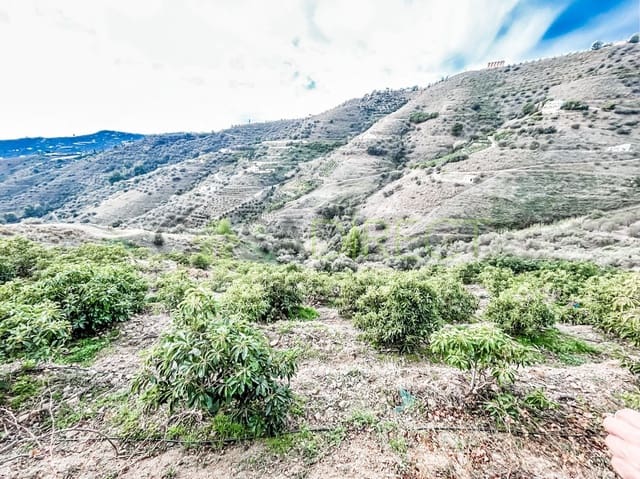 Rakentamaton maa myytävänä paikassa Torrox - 262 500 € (Ref: 7963953)