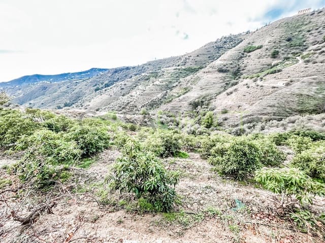 Rakentamaton maa myytävänä paikassa Torrox - 262 500 € (Ref: 7963953)