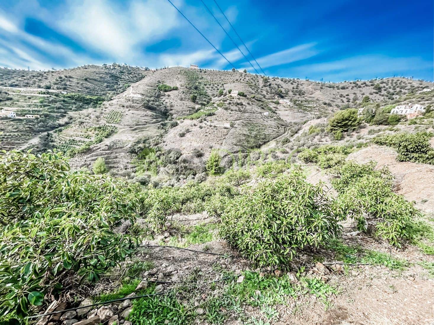 Terreno Non Edificato in vendita in Torrox - 262.500 € (Rif: 7963953)