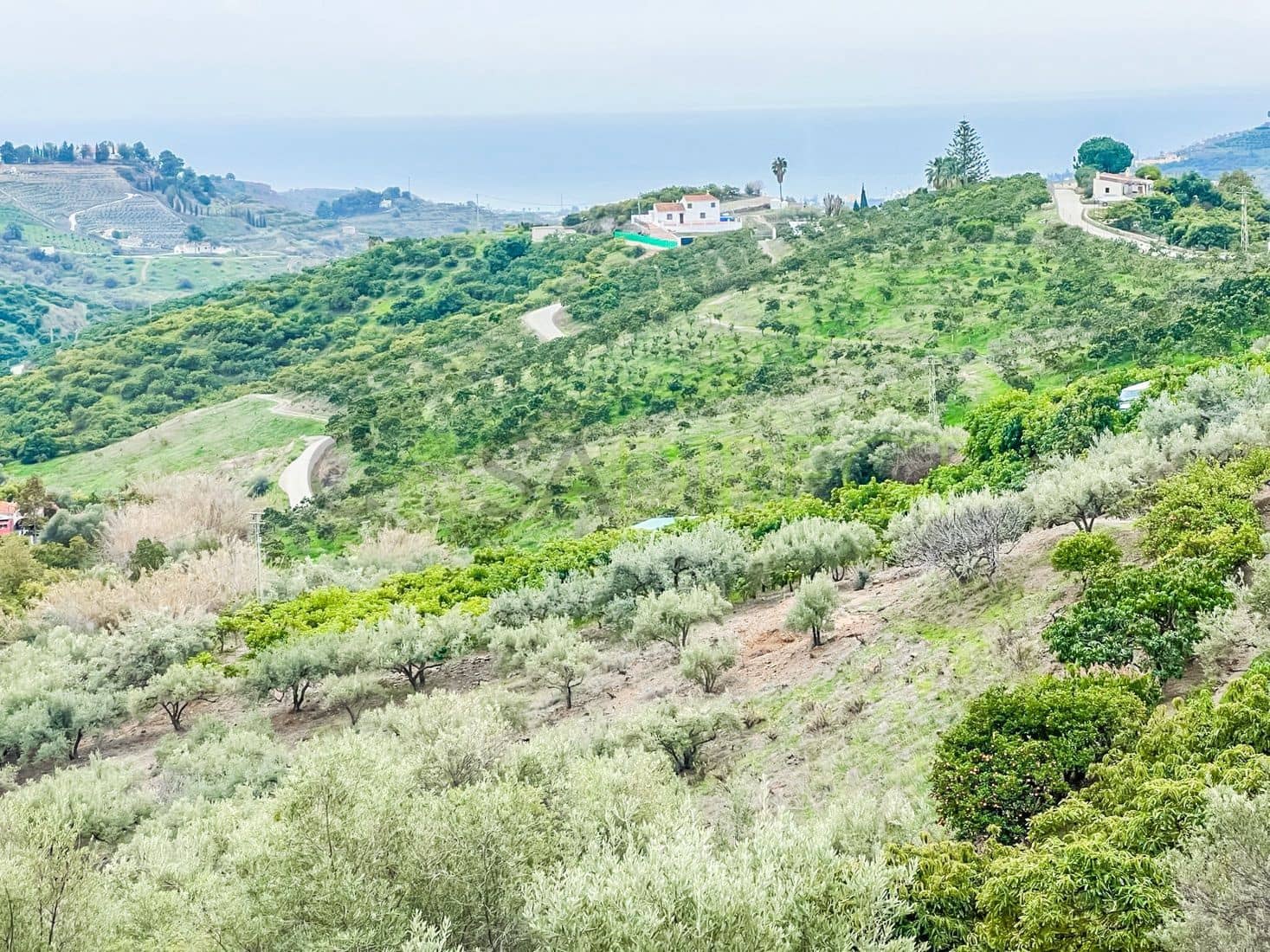 1 soverom Villa til salgs i Frigiliana - € 294 000 (Ref: 8078633)