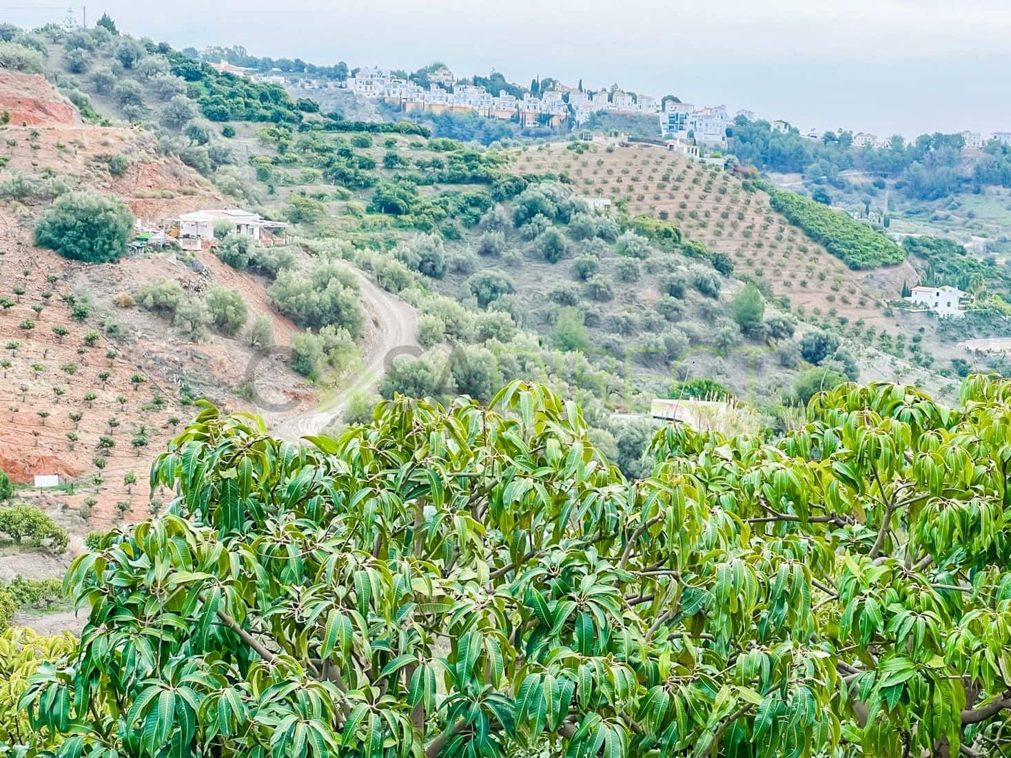 1 soverom Villa til salgs i Frigiliana - € 294 000 (Ref: 8078633)