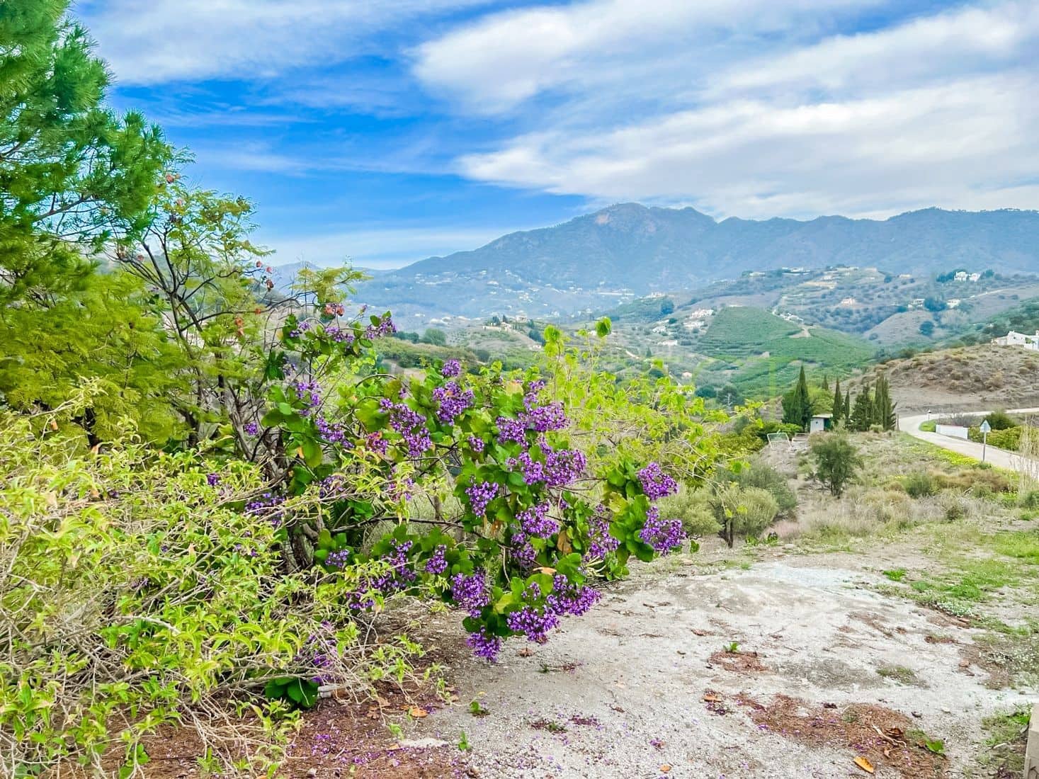 1 soverom Villa til salgs i Frigiliana - € 294 000 (Ref: 8078633)