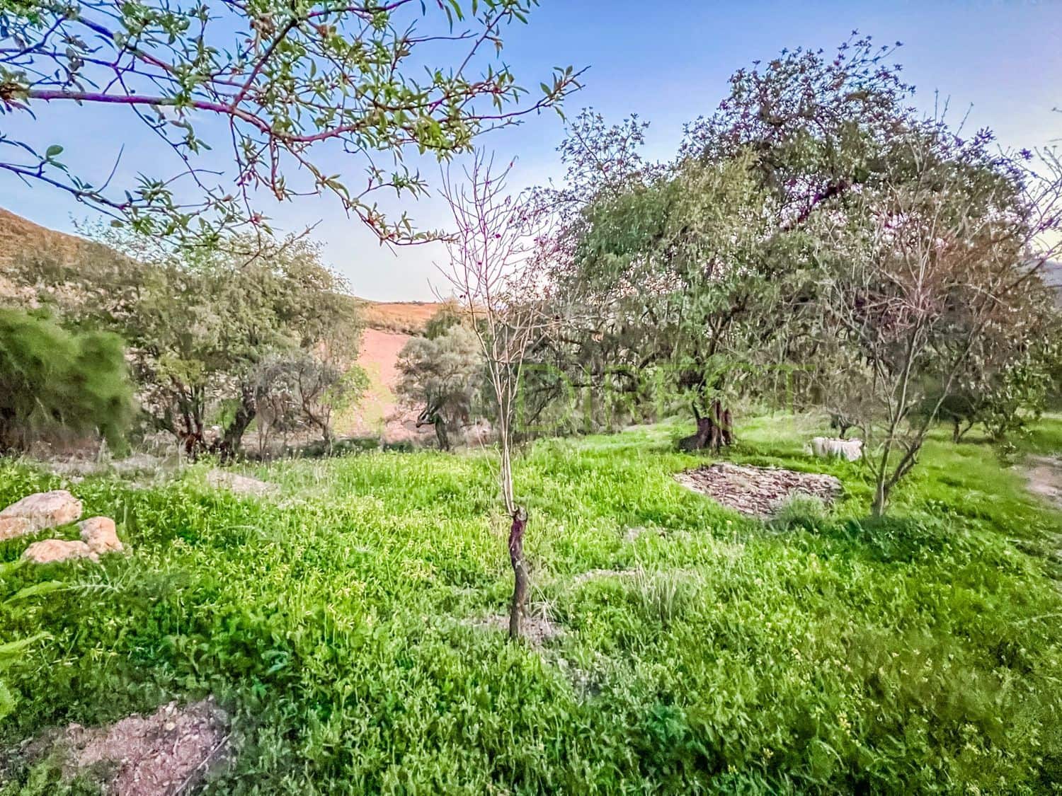 2 soverom Finca/Herregård til salgs i Alora med svømmebasseng - € 430 000 (Ref: 8107915)