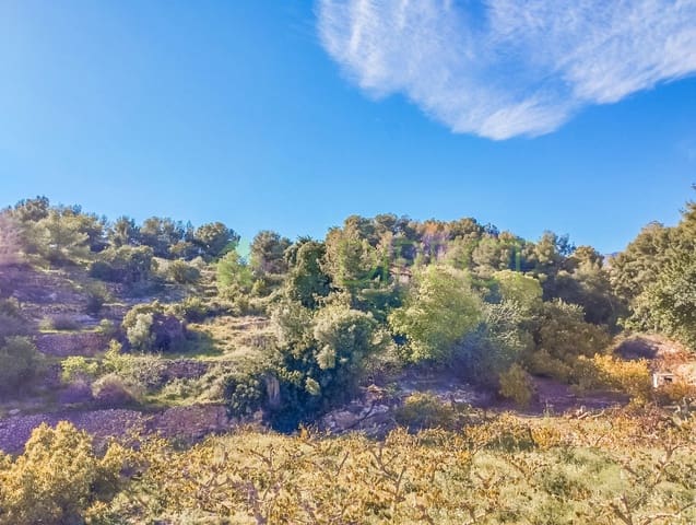 Rakentamaton maa myytävänä paikassa Frigiliana - 315 000 € (Ref: 8213103)