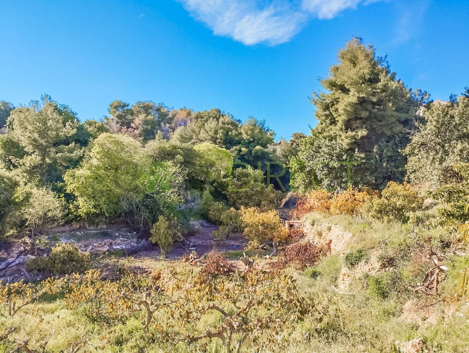 Grunde uden byggetilladelser til salg i Frigiliana - € 315.000 (Ref: 8213103)