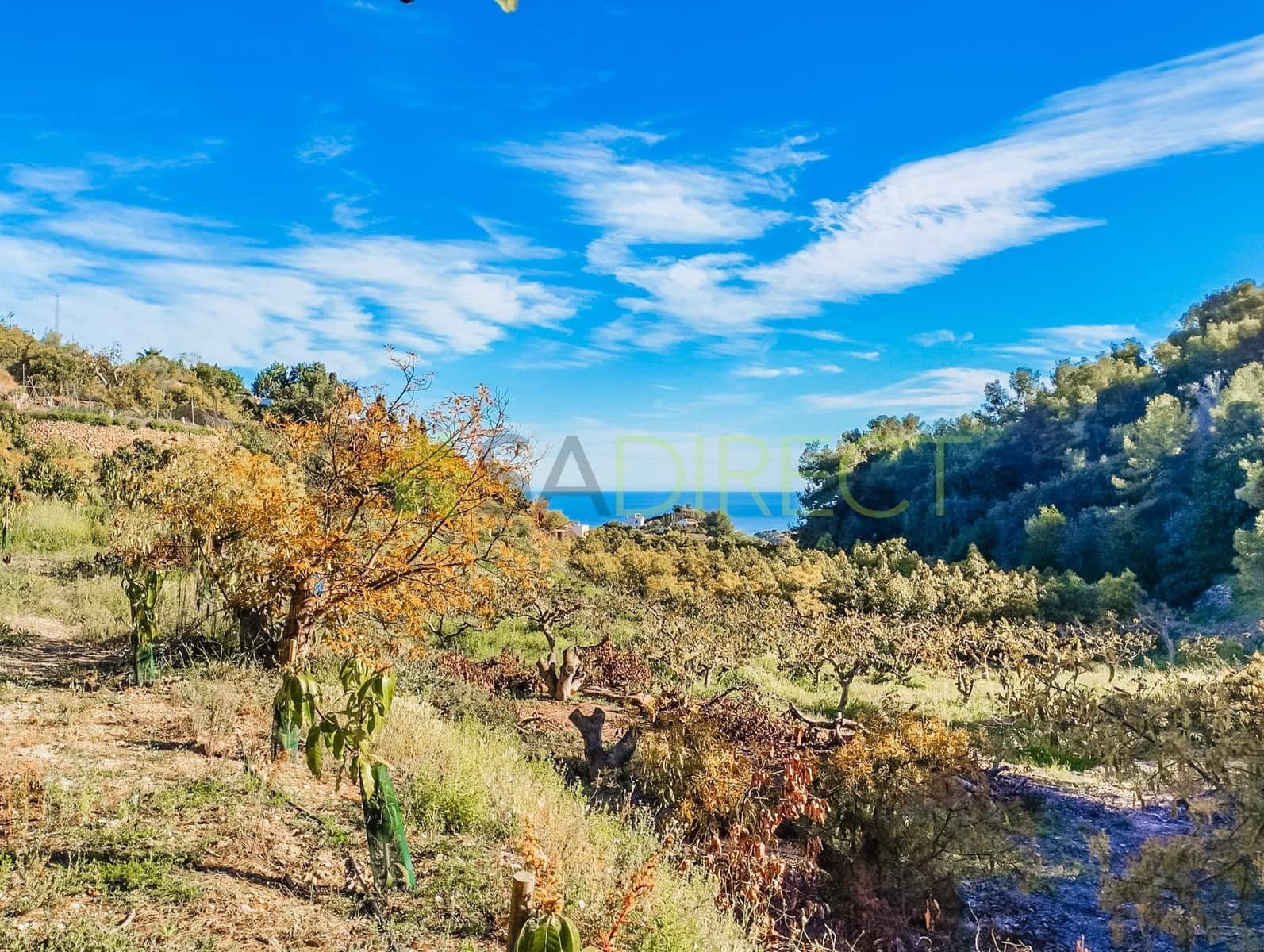 Grunde uden byggetilladelser til salg i Frigiliana - € 315.000 (Ref: 8213103)