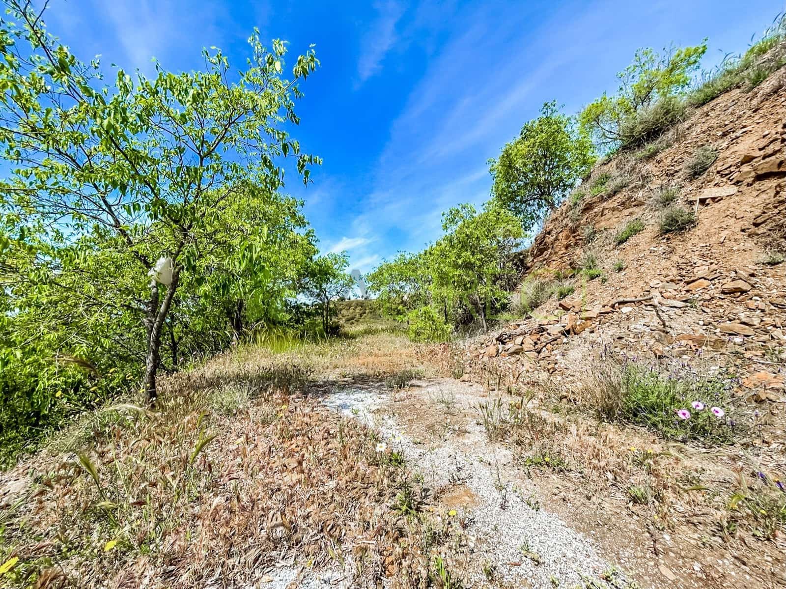 Grunde uden byggetilladelser til salg i Competa - € 120.000 (Ref: 8232613)