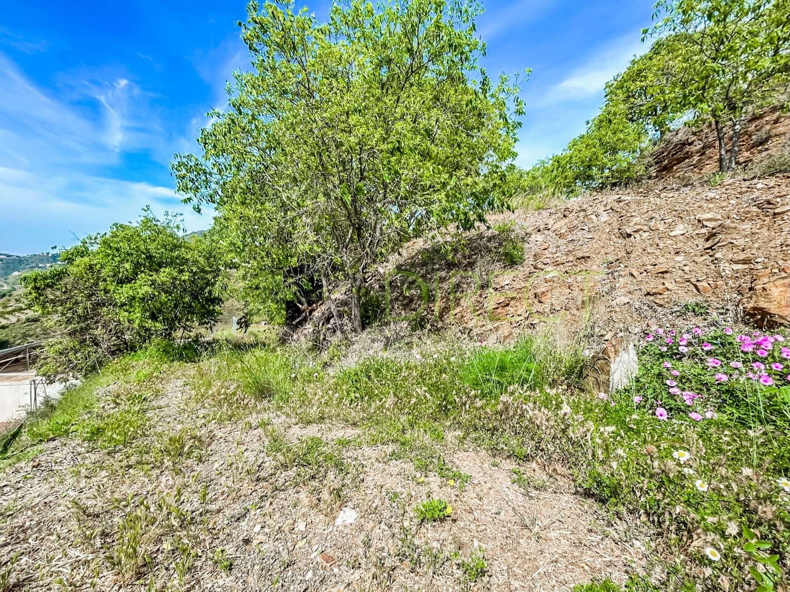 Grunde uden byggetilladelser til salg i Competa - € 120.000 (Ref: 8232613)