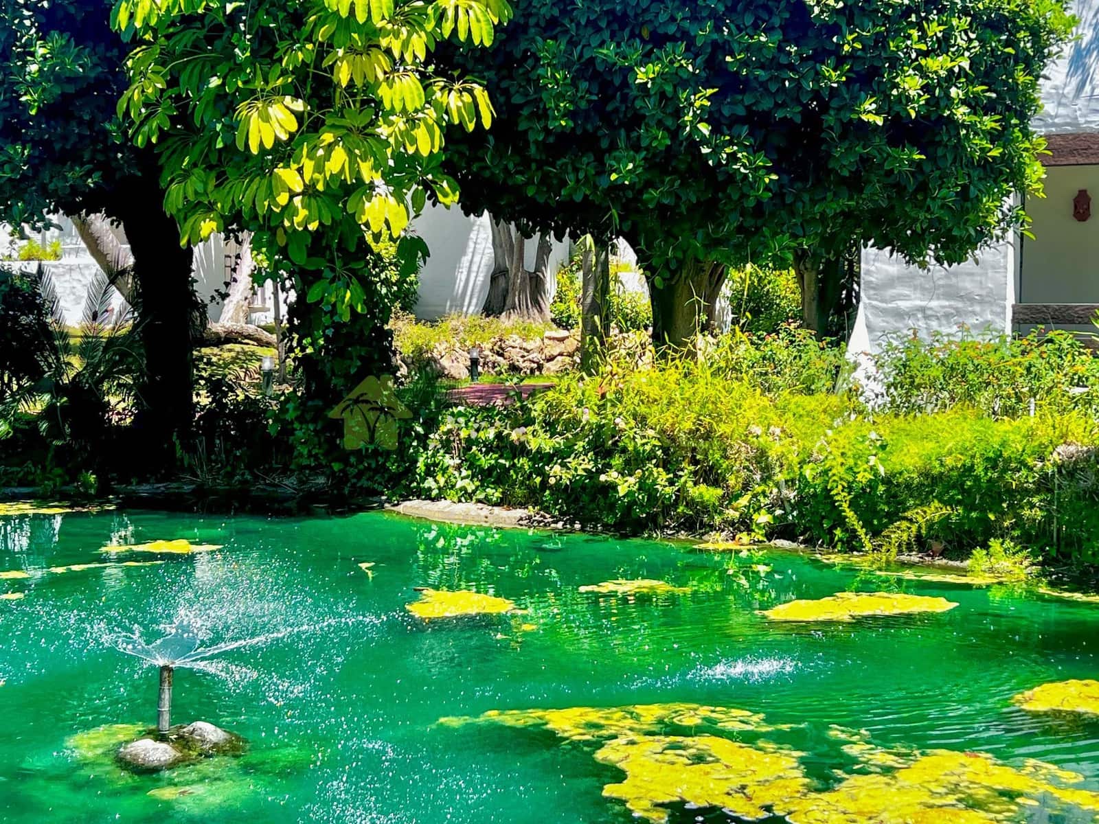 2 soveværelse Lejlighed til leje i Costalita med swimmingpool garage - € 2.280 (Ref: 8278376)