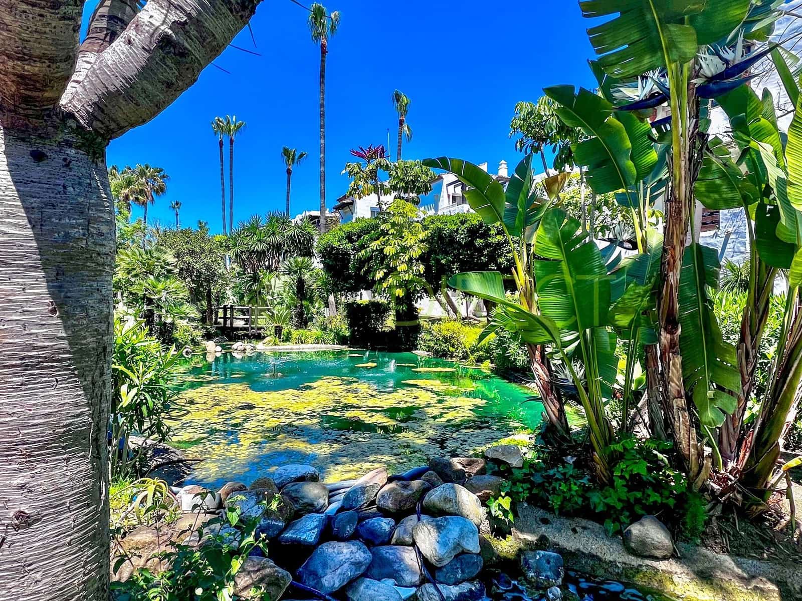 2 soveværelse Lejlighed til leje i Costalita med swimmingpool garage - € 2.280 (Ref: 8278376)