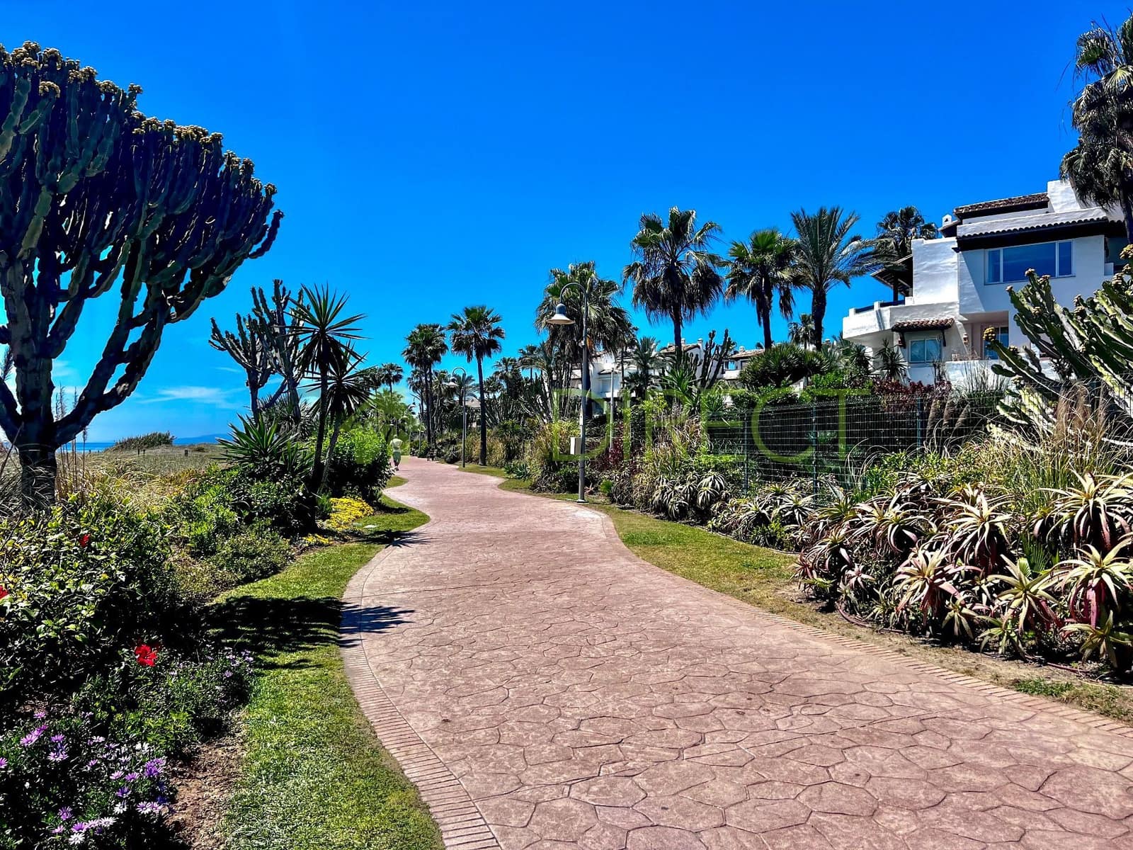 2 soveværelse Lejlighed til leje i Costalita med swimmingpool garage - € 2.280 (Ref: 8278376)